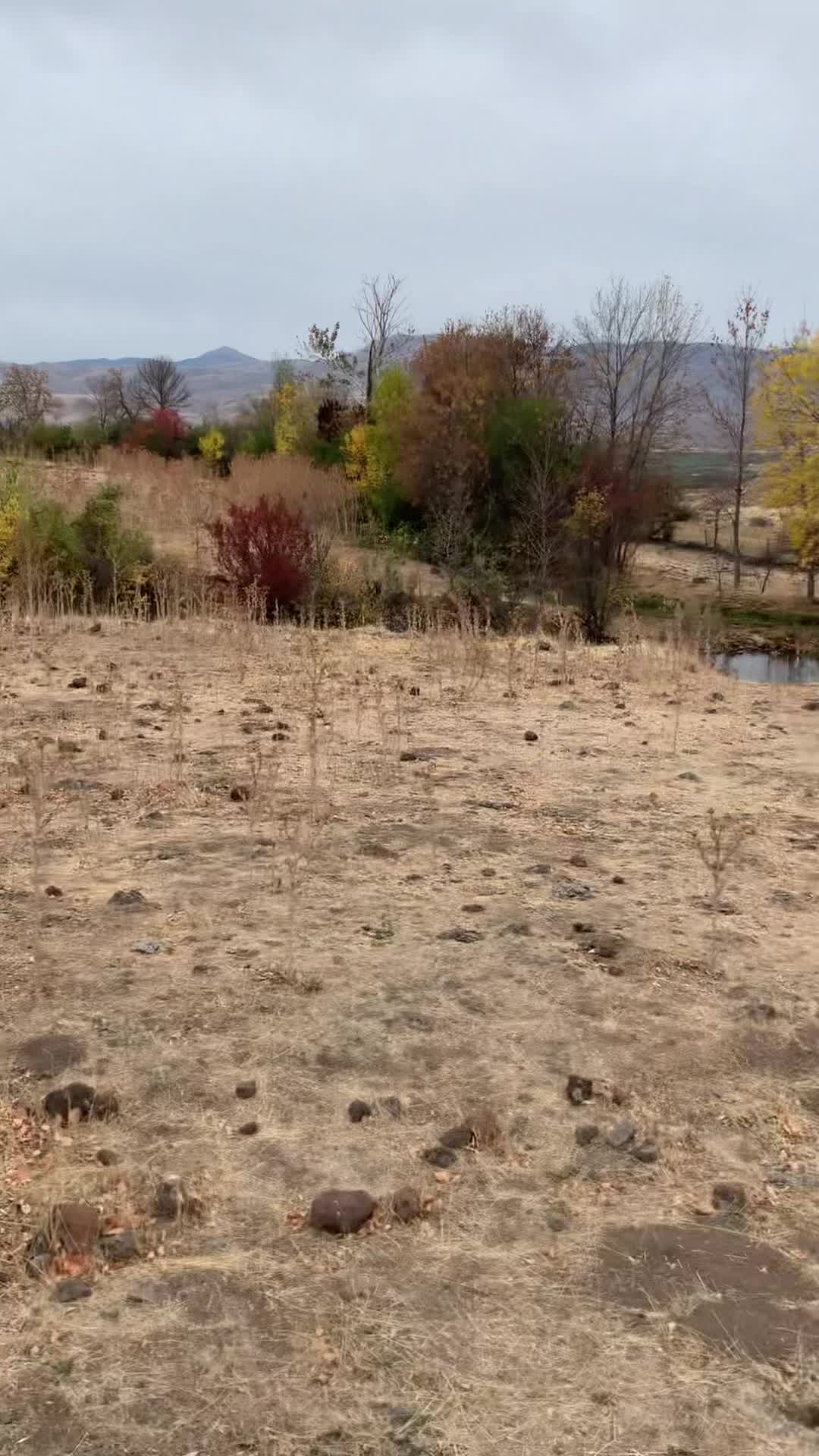 @Cowboytok