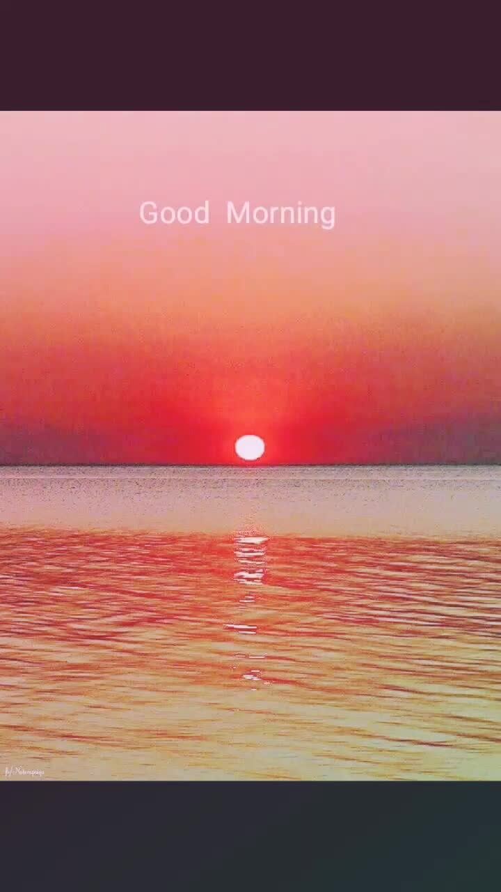 @Divya Srivastava42