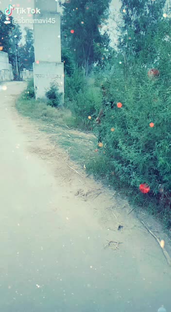 @Shiv Singh Gurjar