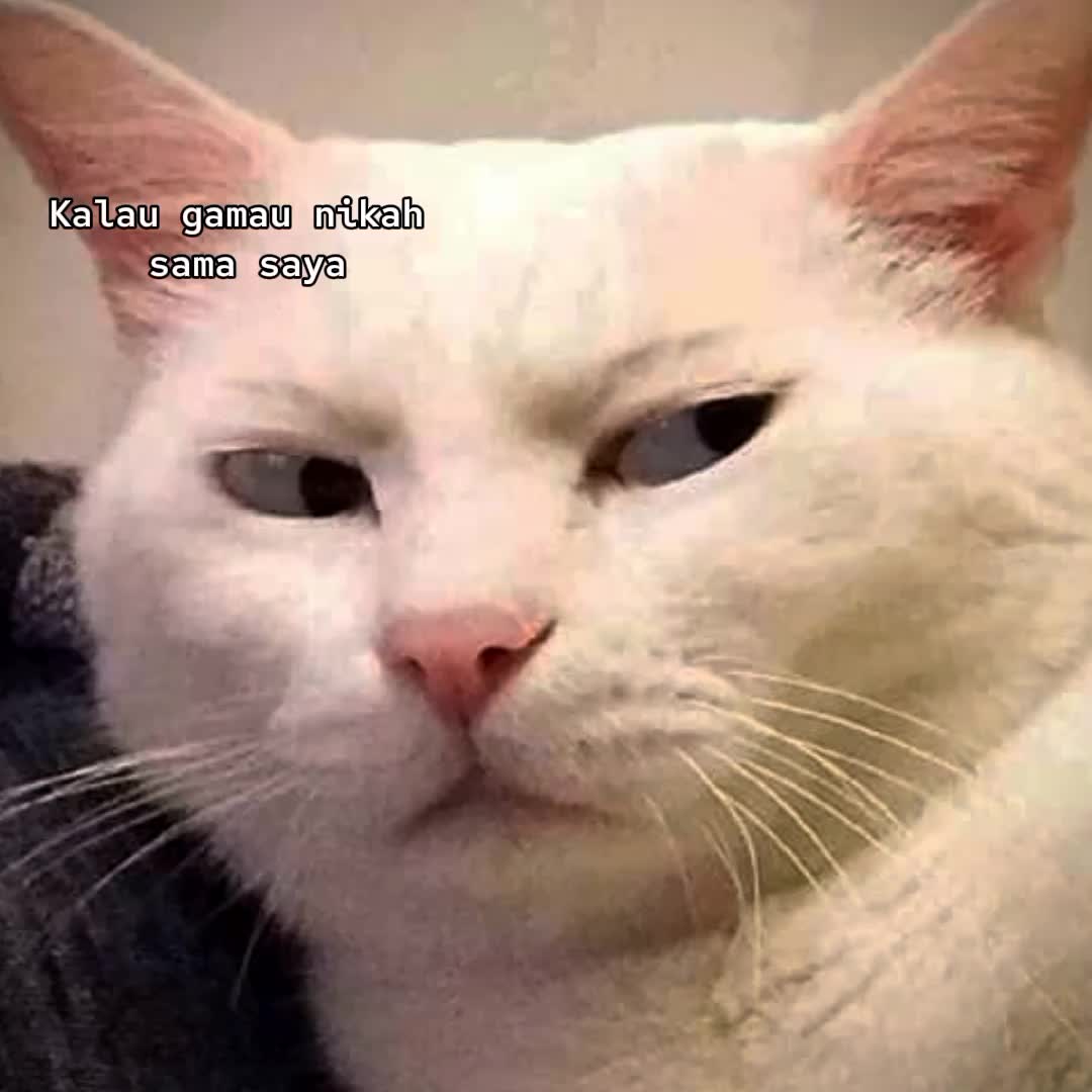 @Teman Wonpil
