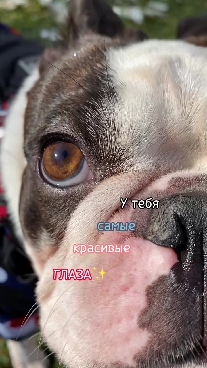 @Малыш Монти и Ди 🖤