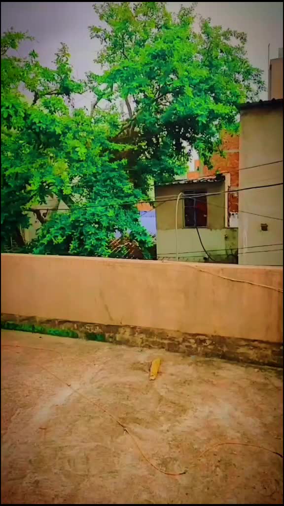 @badsha avi