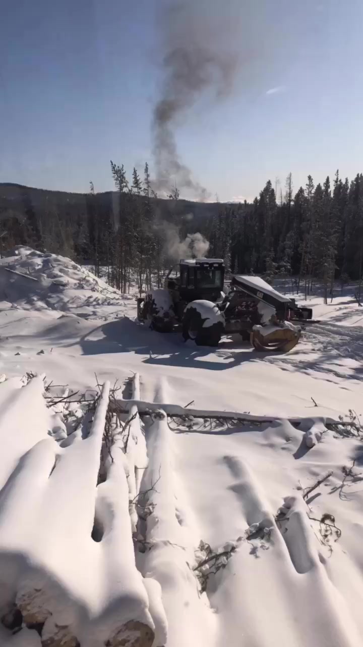 @LoggerBoy545