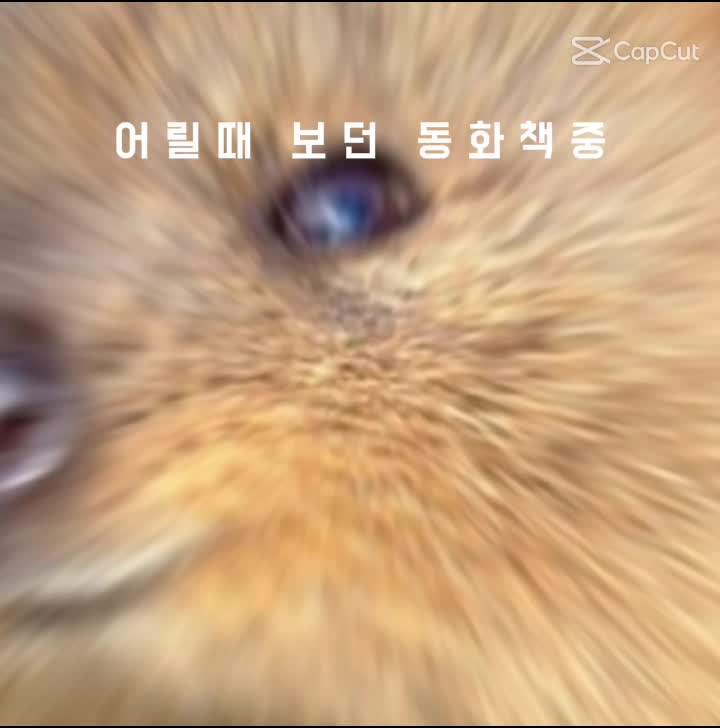 @꺄항!