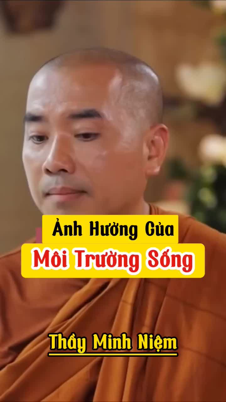 @hạt giống tâm hồn🌱