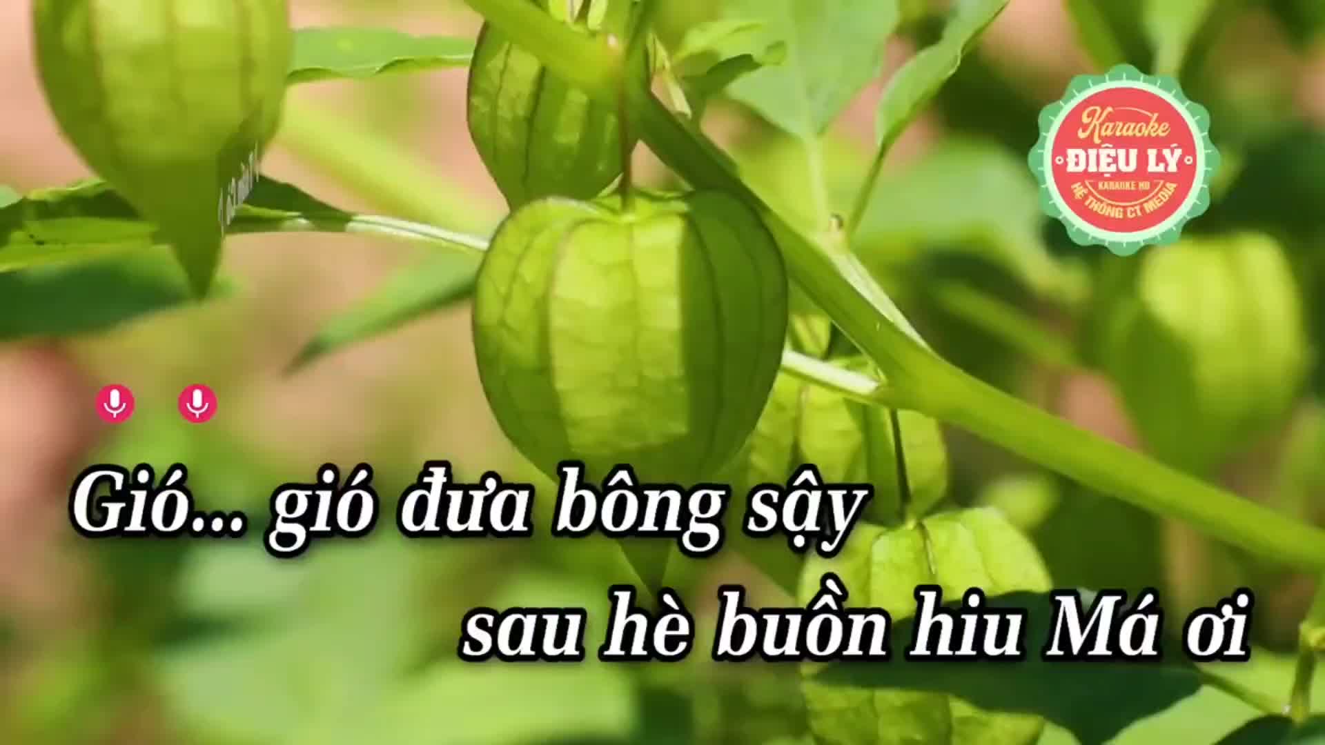 @Mê ca hát