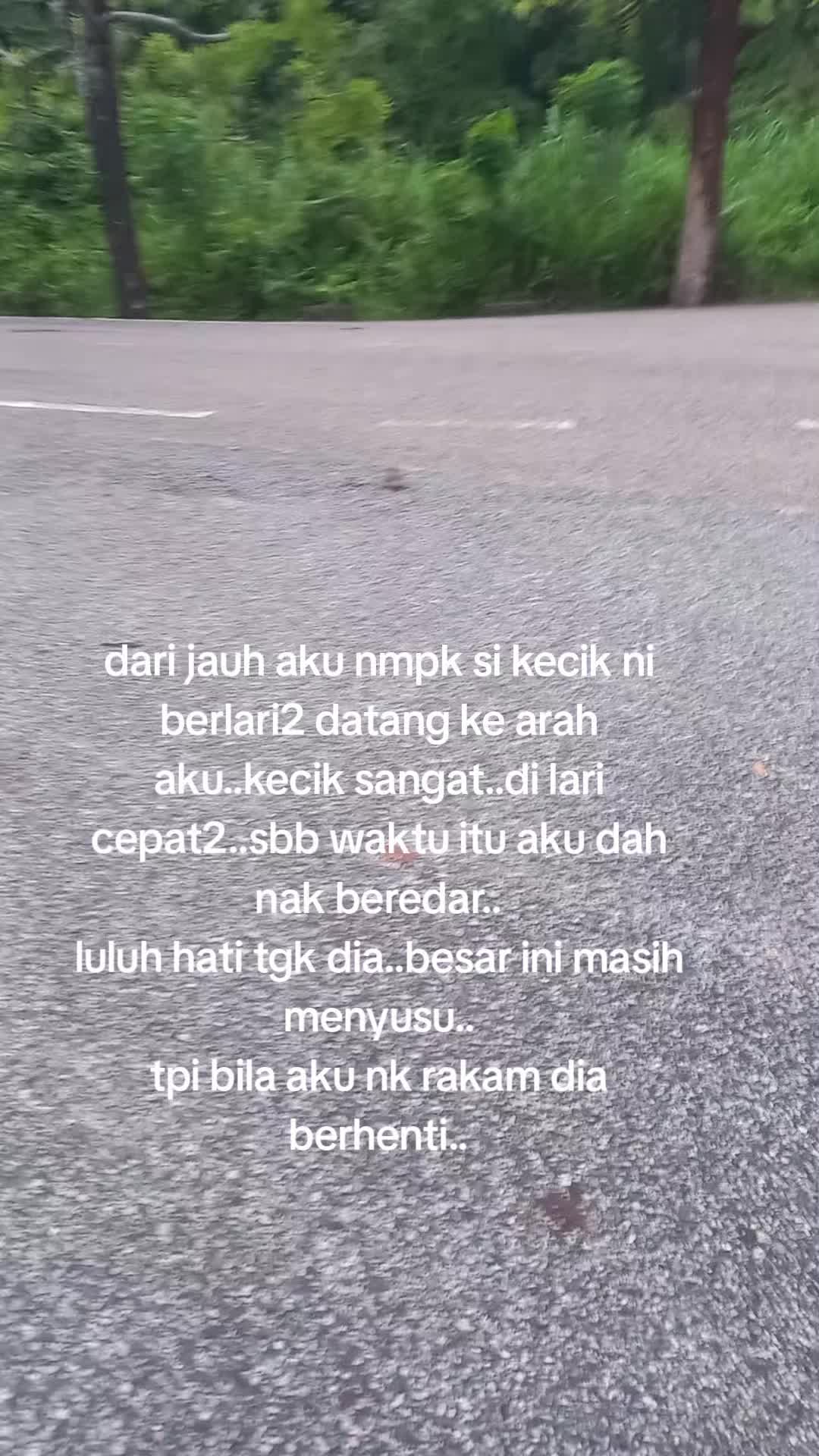 @MaderCats