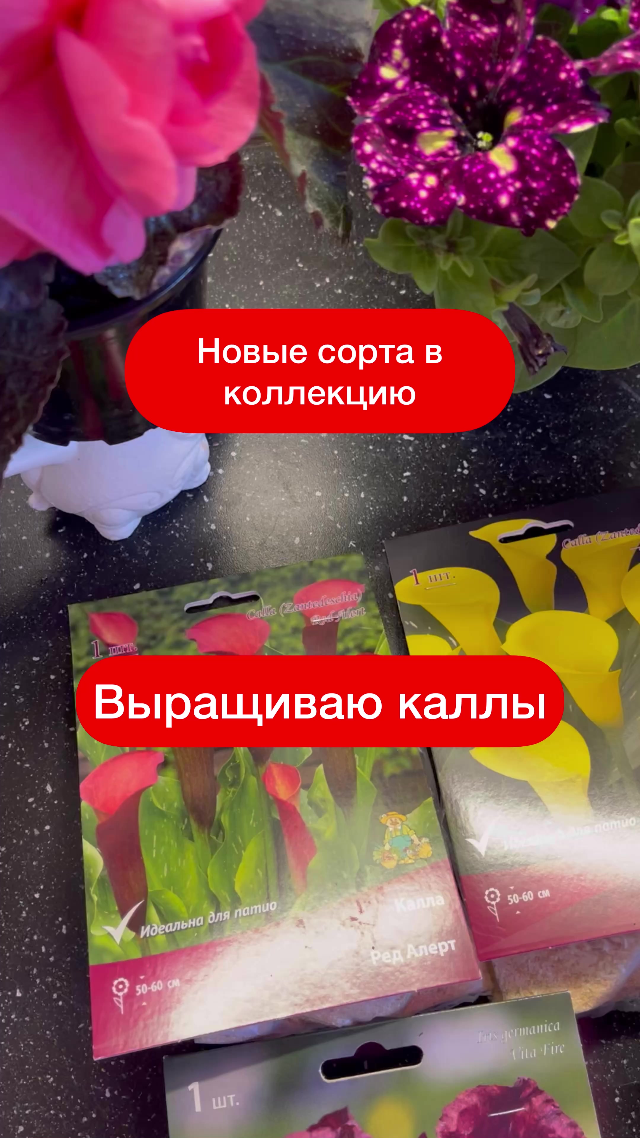 @Елена 🌱 Рай можно купить