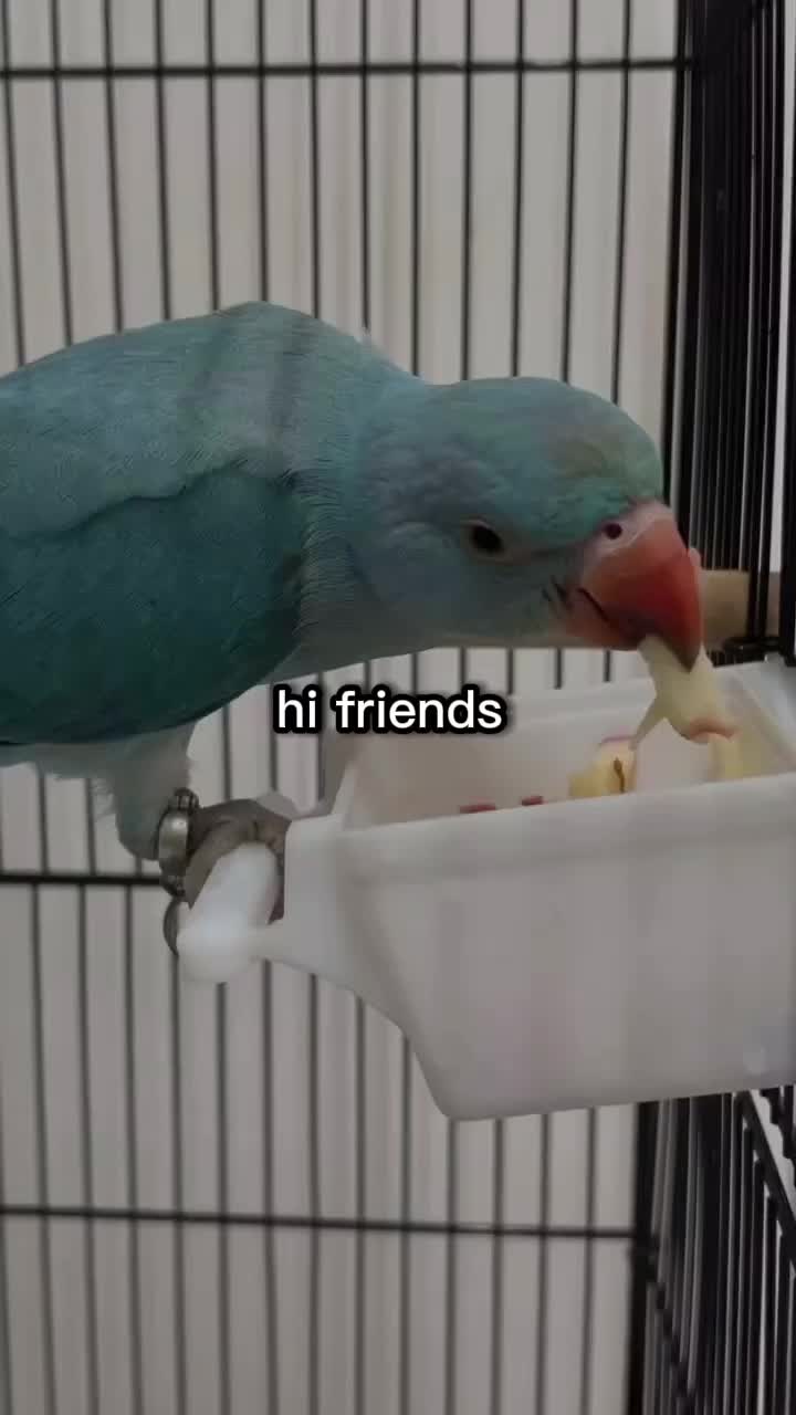 @Its_SR