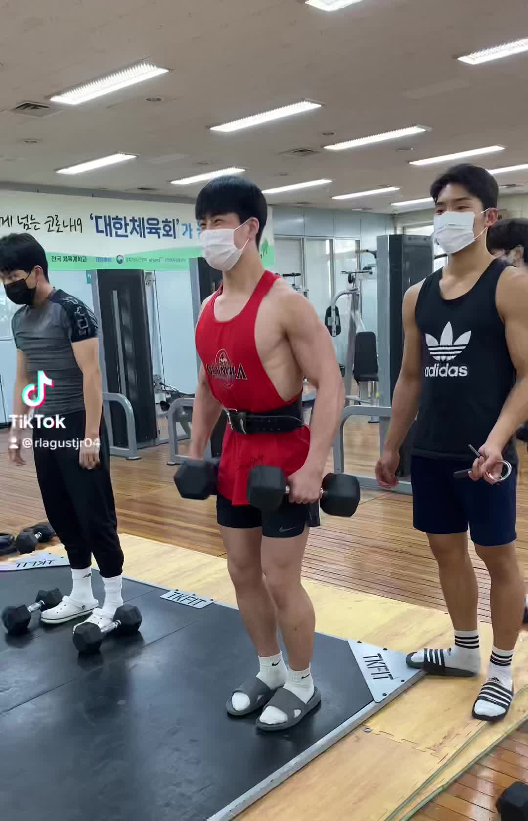 @부산 물개