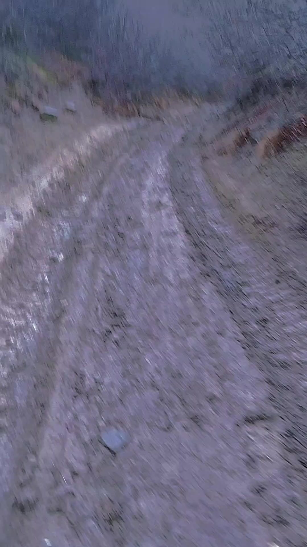 @მონადირე მთისშვილი❤️🏔️🇬🇪