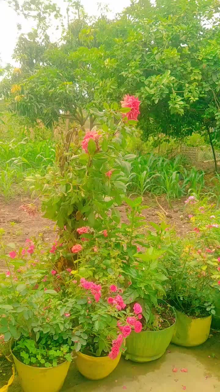@TGR🇳🇵