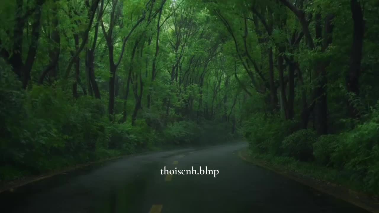 @hoa anh đào nở vào trời đông.