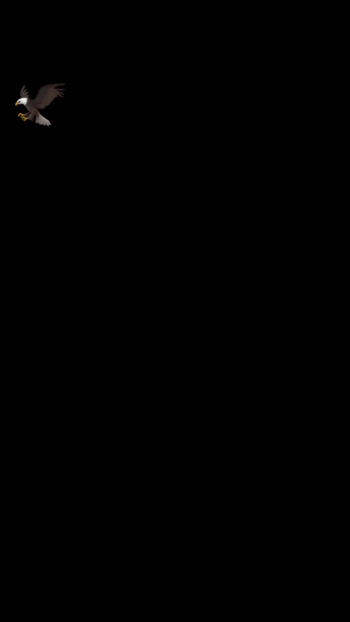 @چوہدری روشان🚩