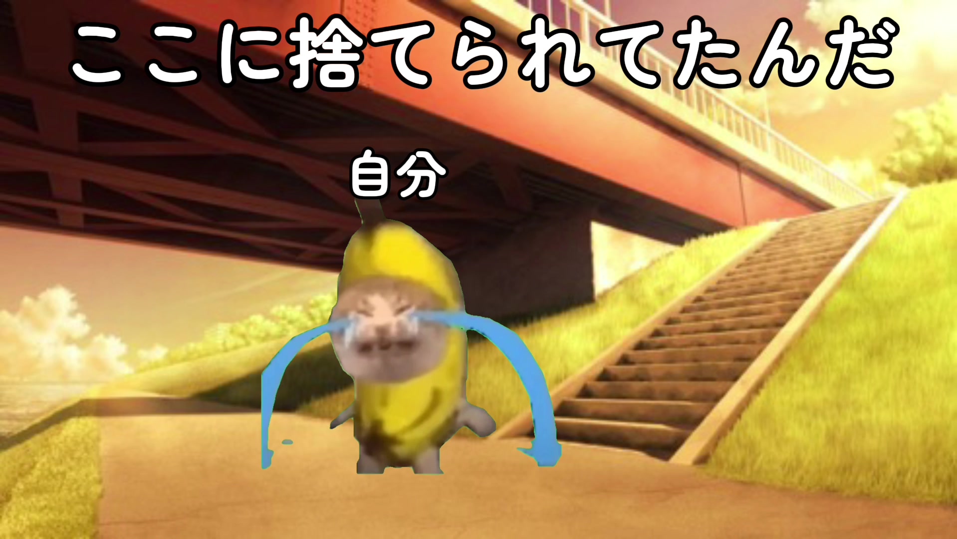 @☁️うさぎのラピピ アニメ☁️