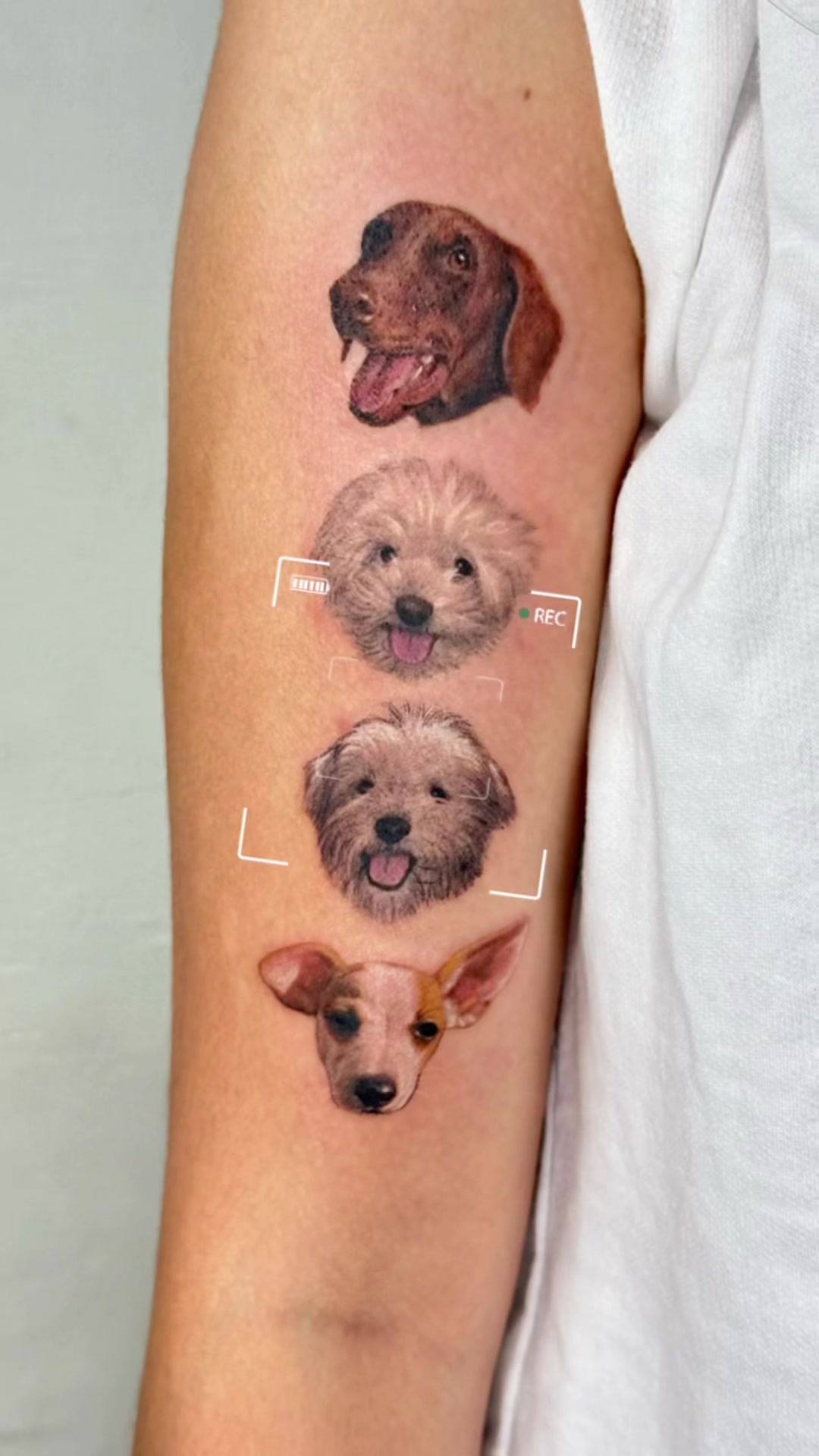 @EWE TATTOO
