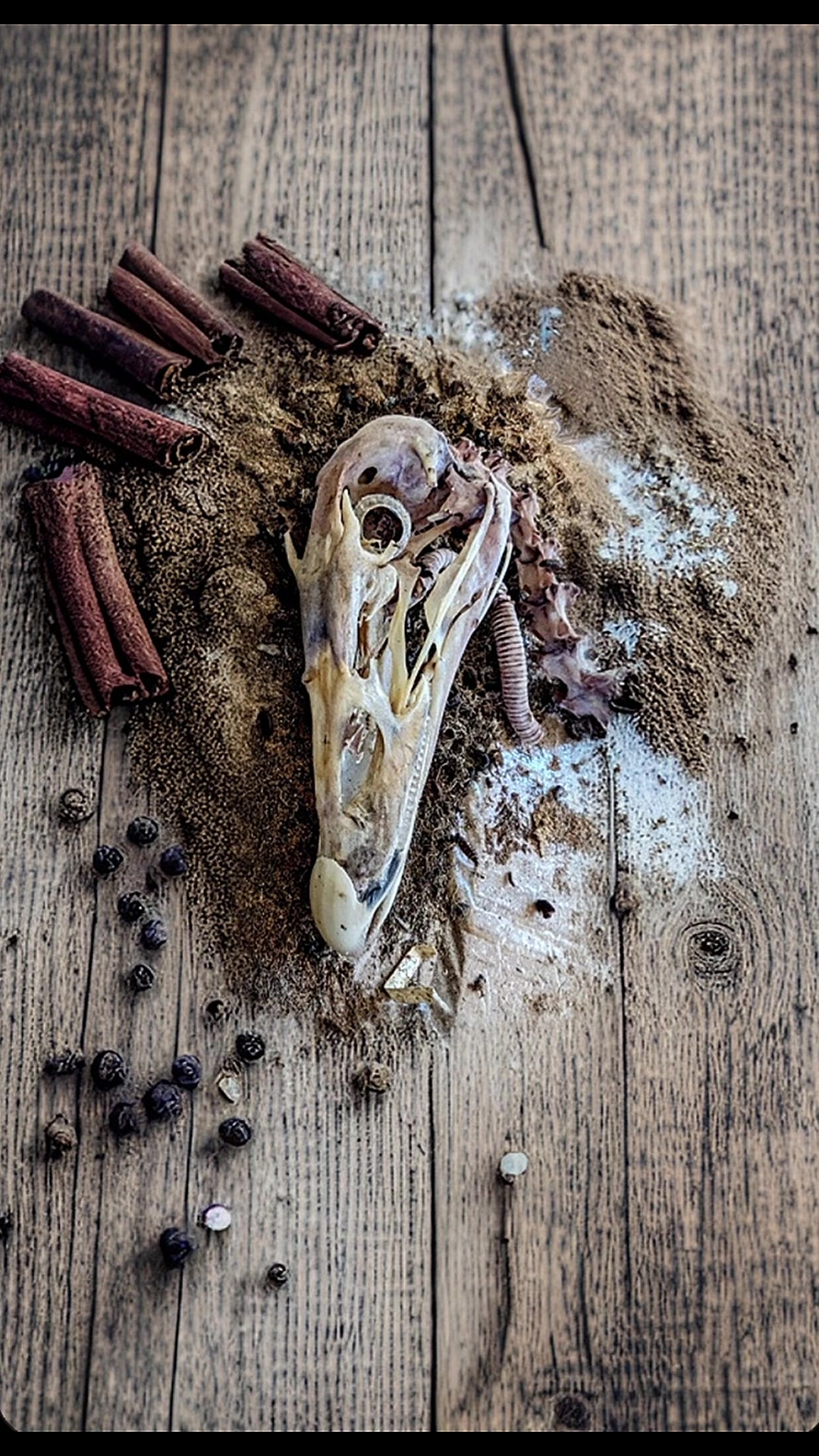 @Skullatorium