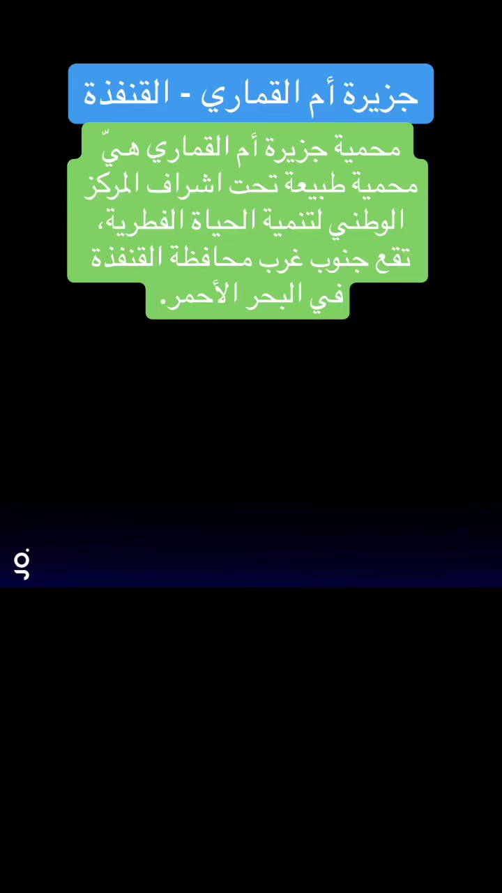 @القنفذة نت