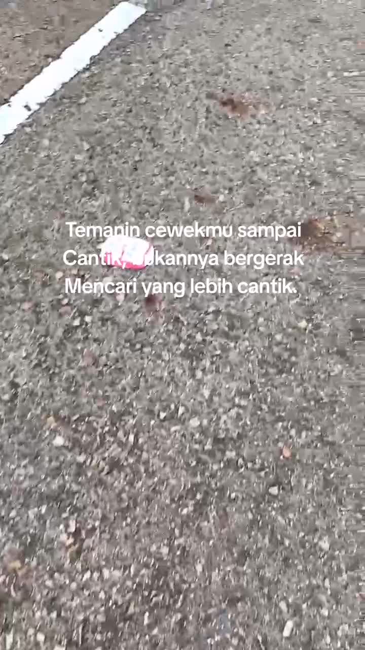 @Ipul