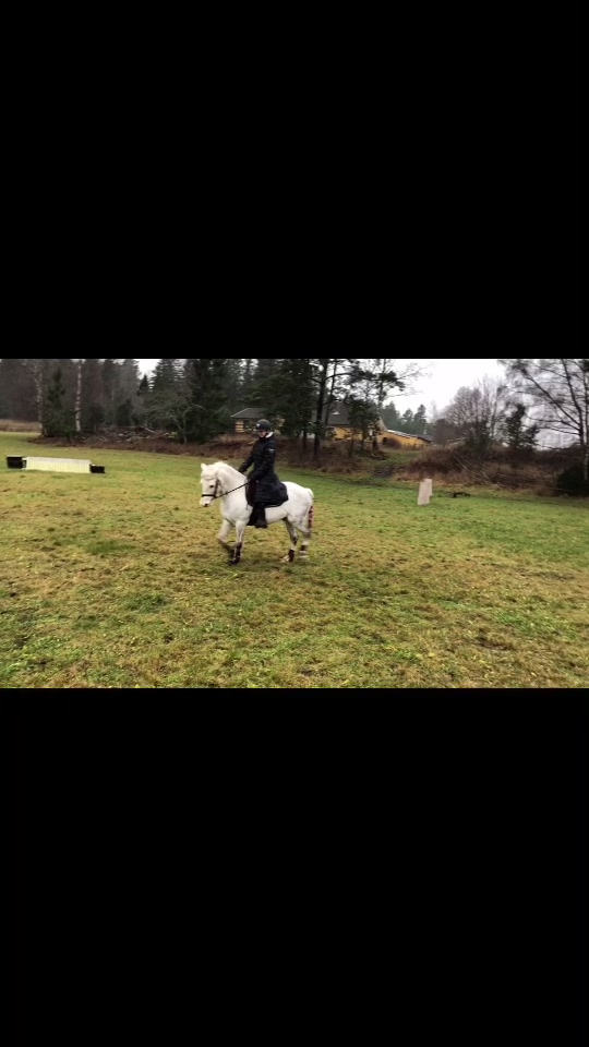 @🏇Ryttare🏇