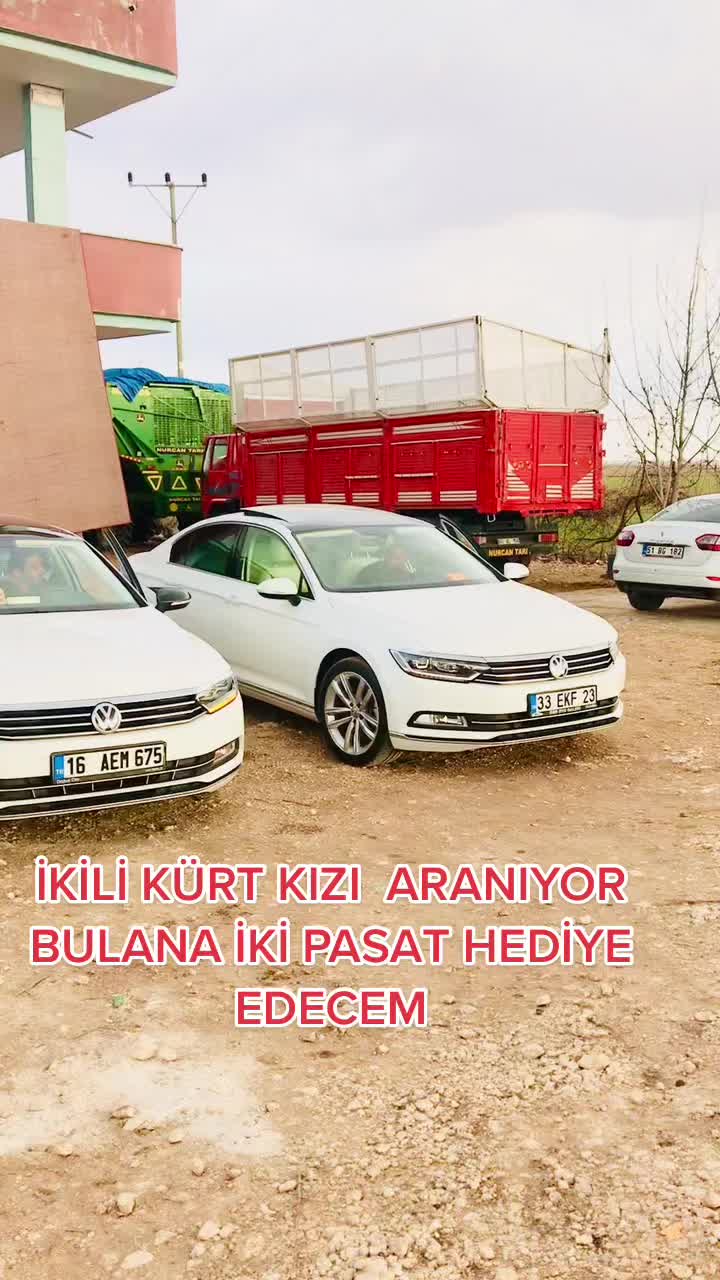 @alican