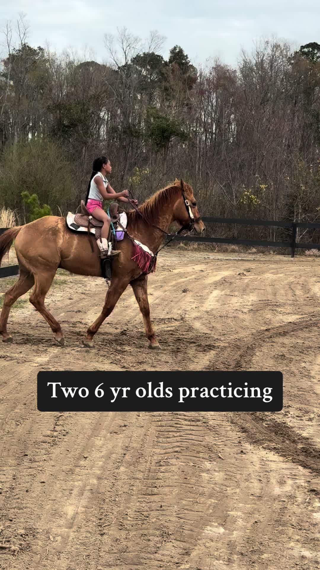 @Finding Harmony Farms