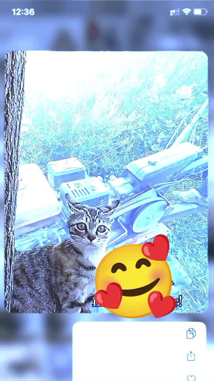 @🇰🇬̤К̤Ы̤М̤Б̤А̤Т̤Б̤Е̤К̤🇰🇬