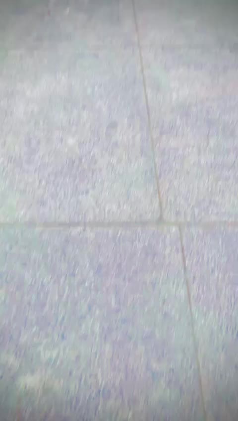 @touqeer 46