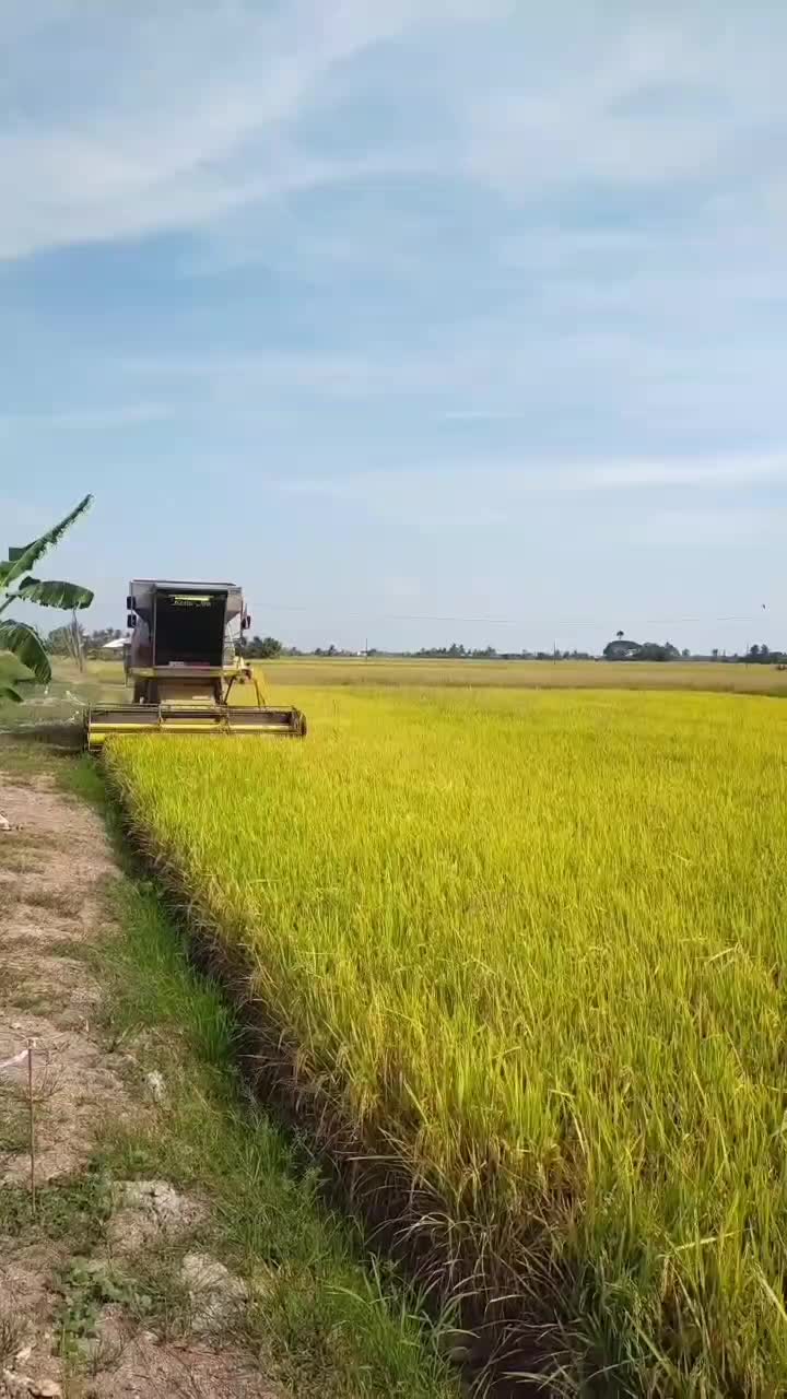 @Mxhd Akmxl