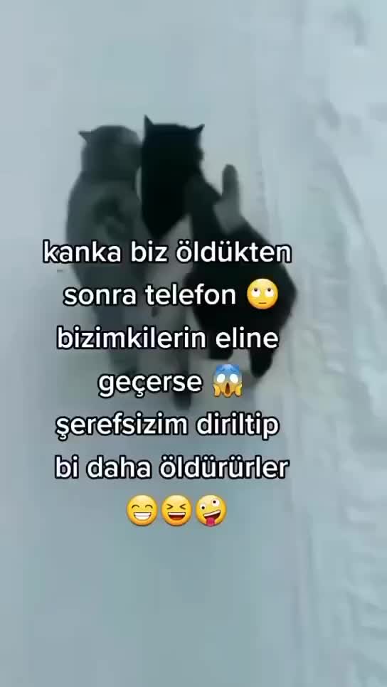 @🖤YARIM🖤KALMIŞ🖤HAYALLER🖤