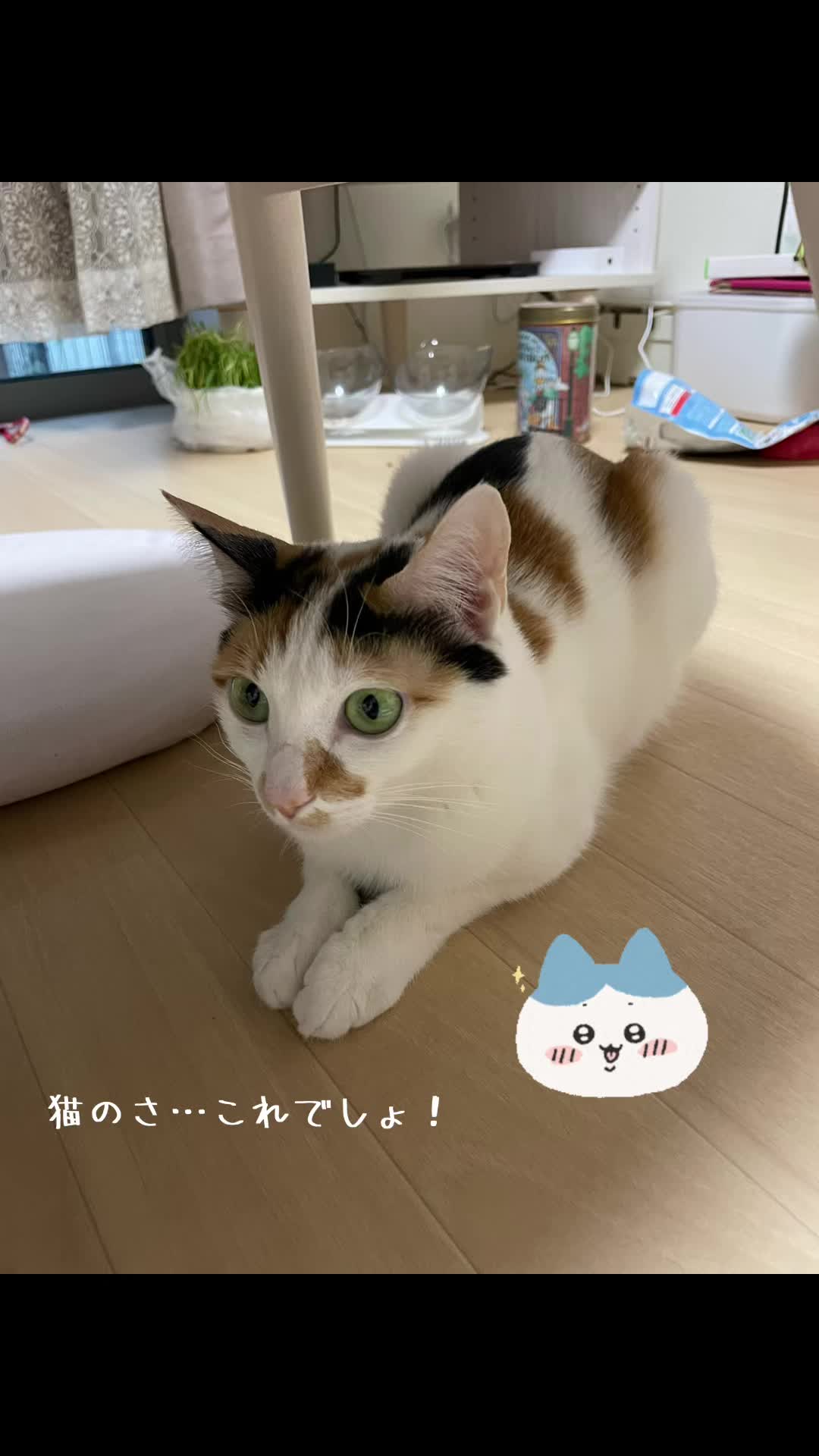 @ゆきぴ