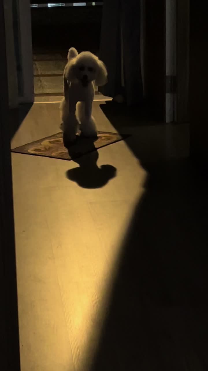 @Angel