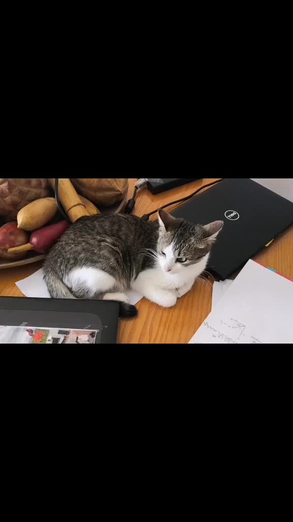 @Pêche 😺