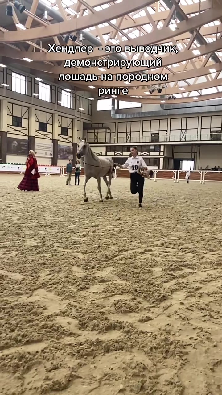 @rita.lozhkina.photo