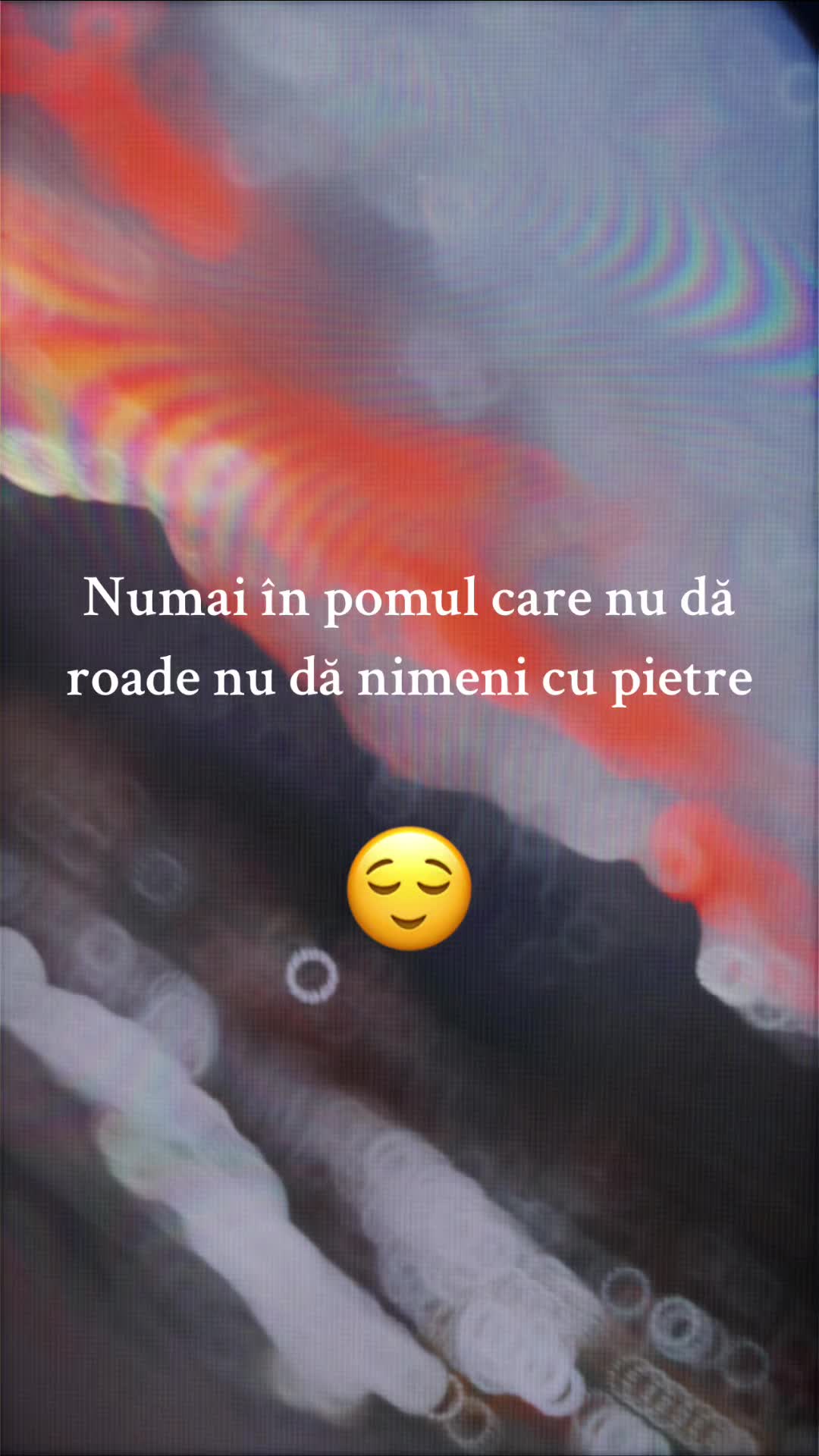 @Gabriela Minodora Nica
