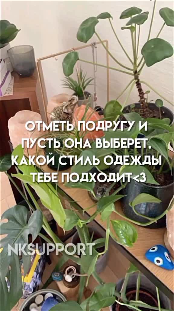 @𝓹𝓮𝓻𝓼𝓸𝓷𝓪𝓵𝓲𝓽𝔂