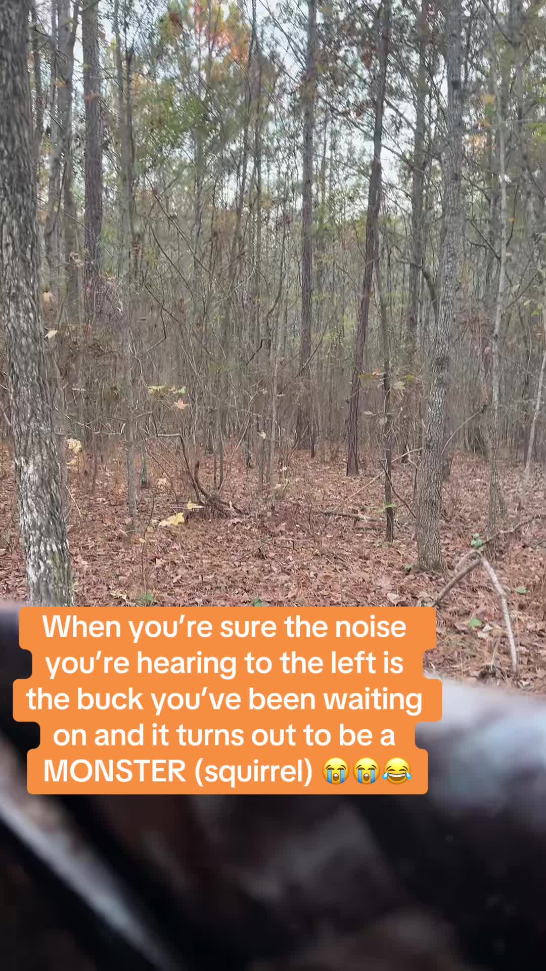 @d_campbell_music