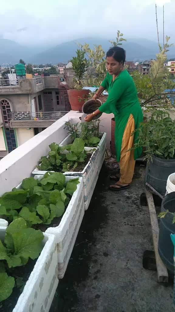 @kamala Khadka bharati.