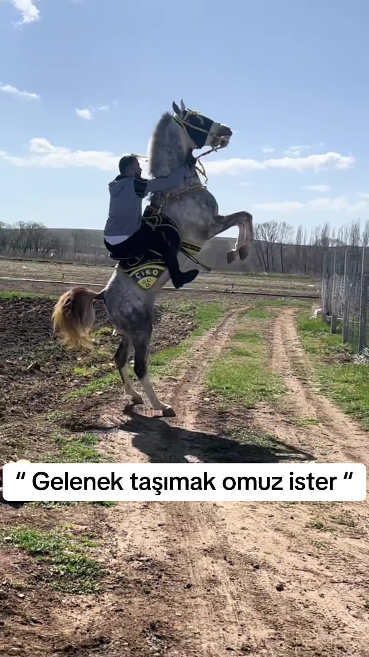 @FATİH CEYLAN