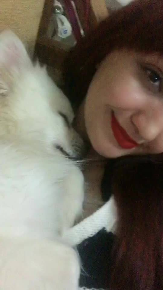 @deniz melek