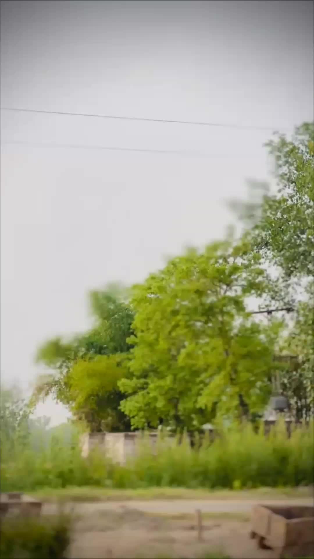 @GoharShah