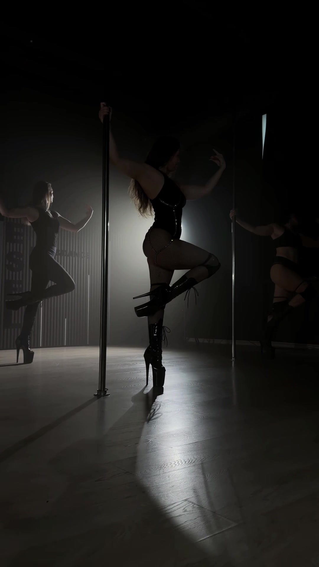 @Laima Exotic Pd, Strip
