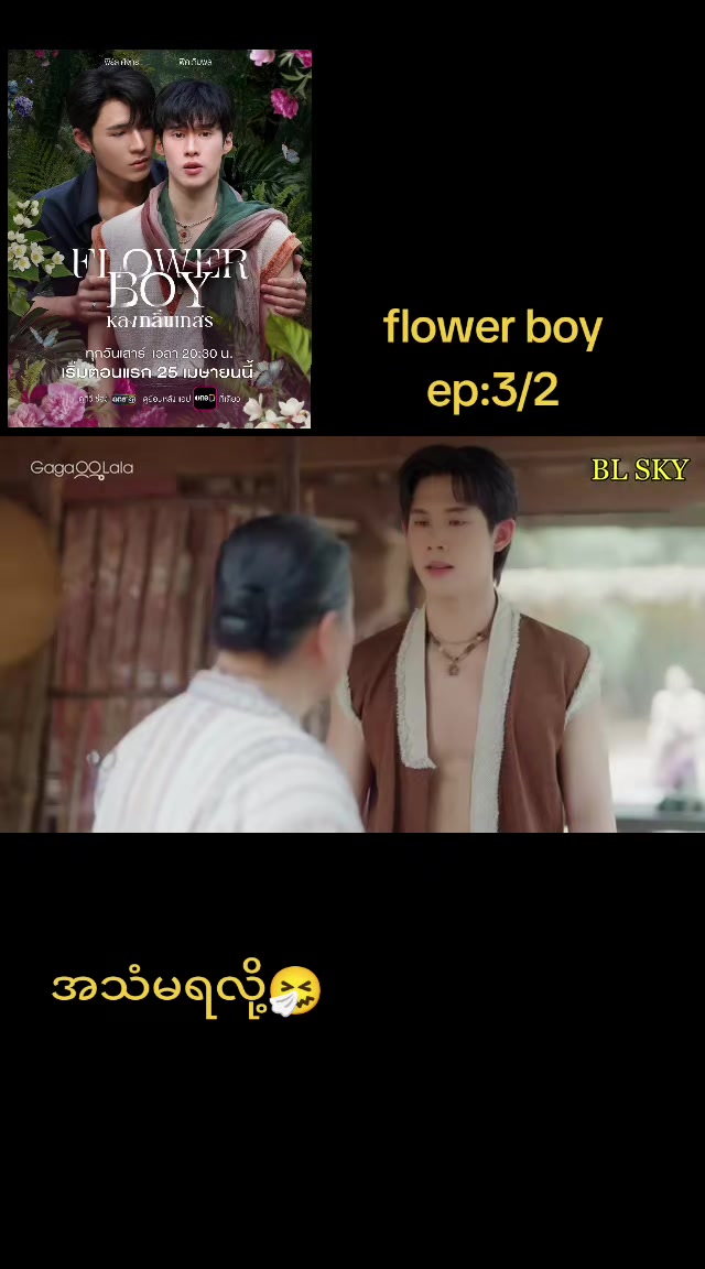 @pp(bl fan)