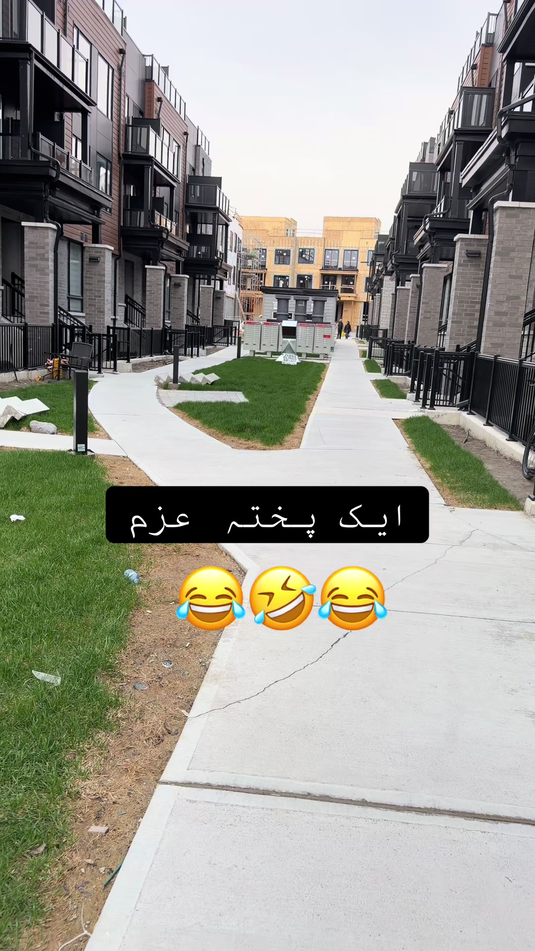 @Hoorain🇨🇦🕊️