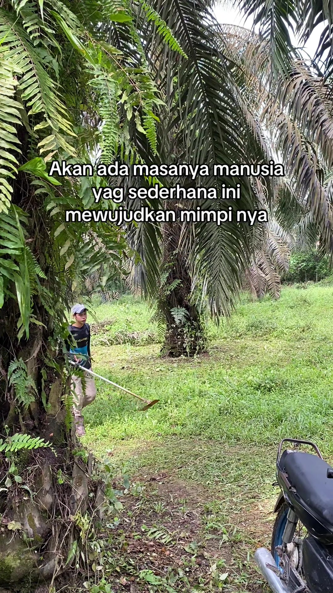 @Nildo Wiransyah