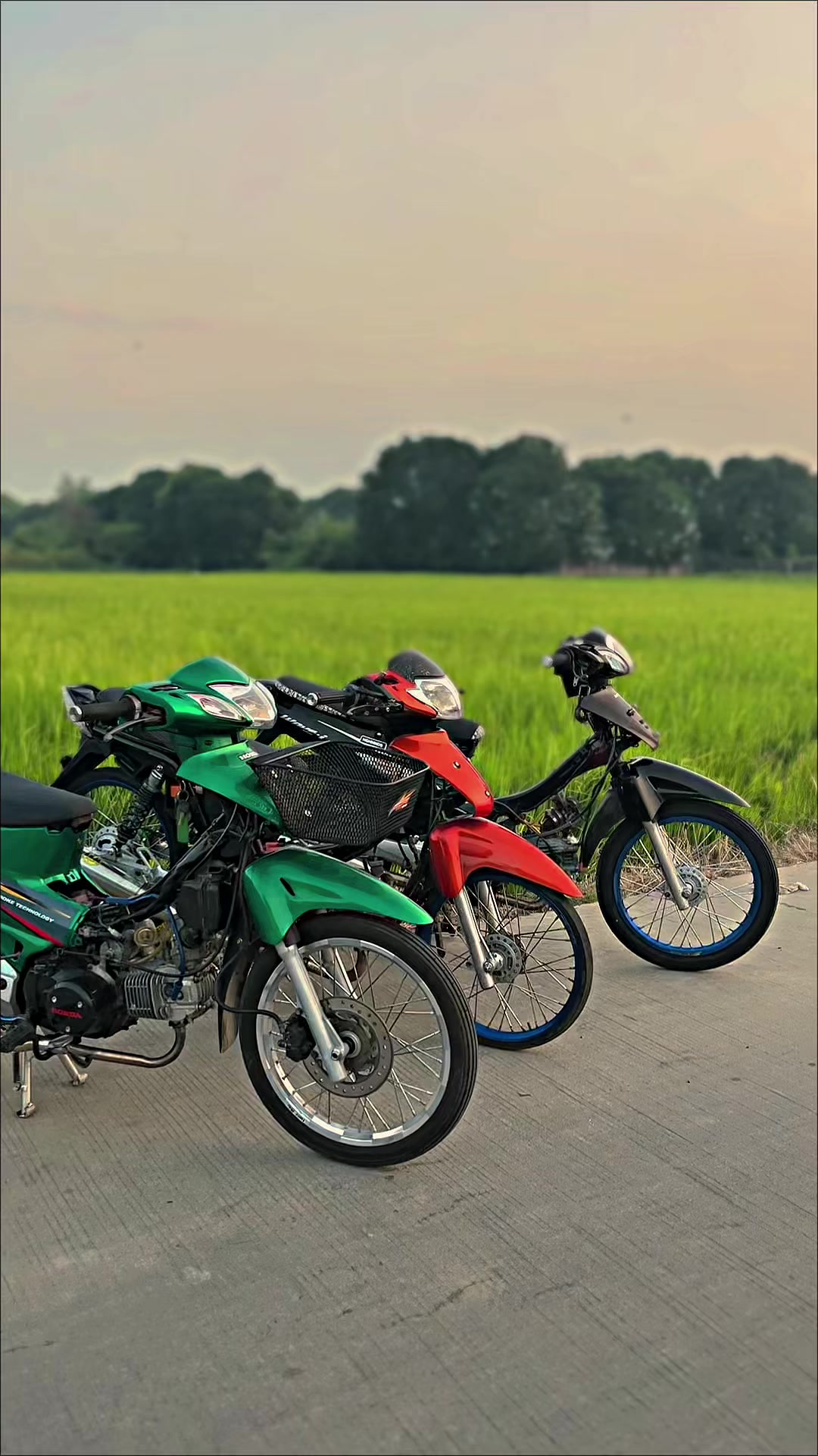 @Pongkan🚀