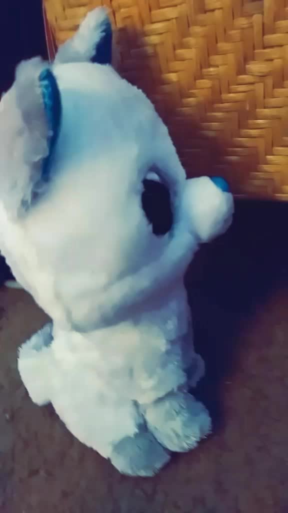 @247wolfygirl