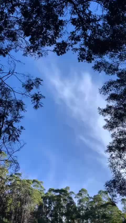 @Ashikhan777