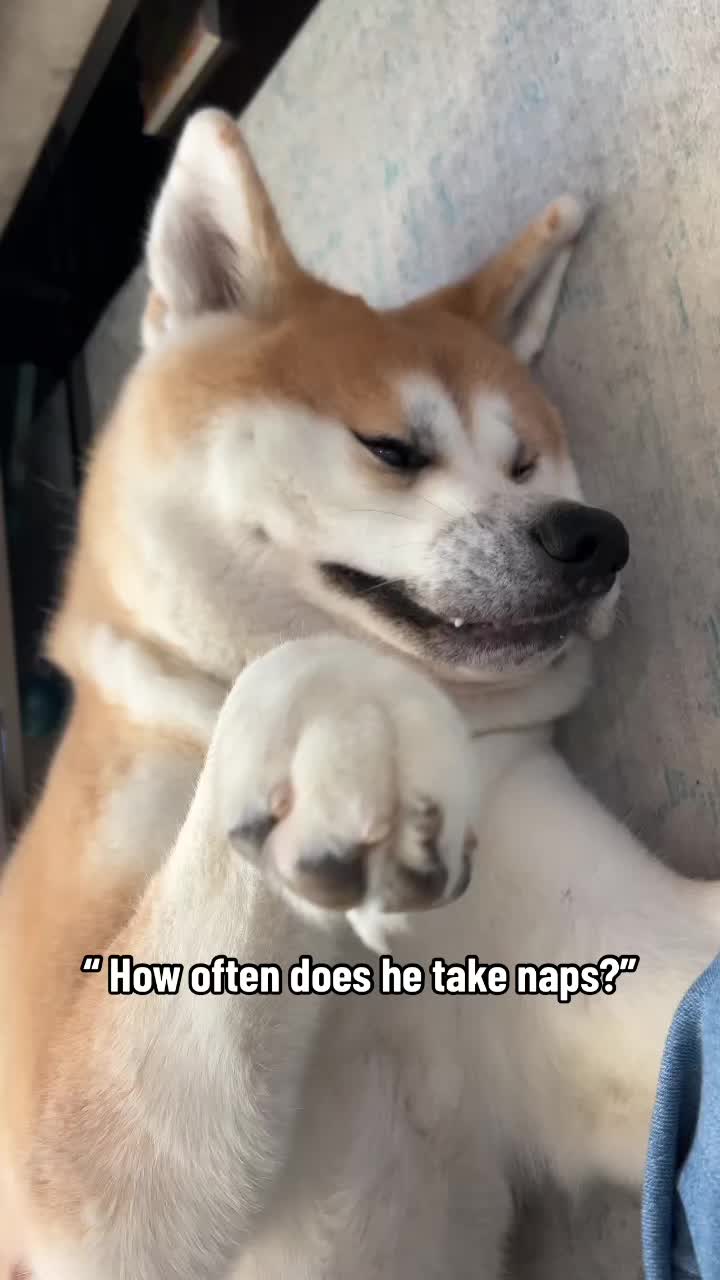 @Yuki