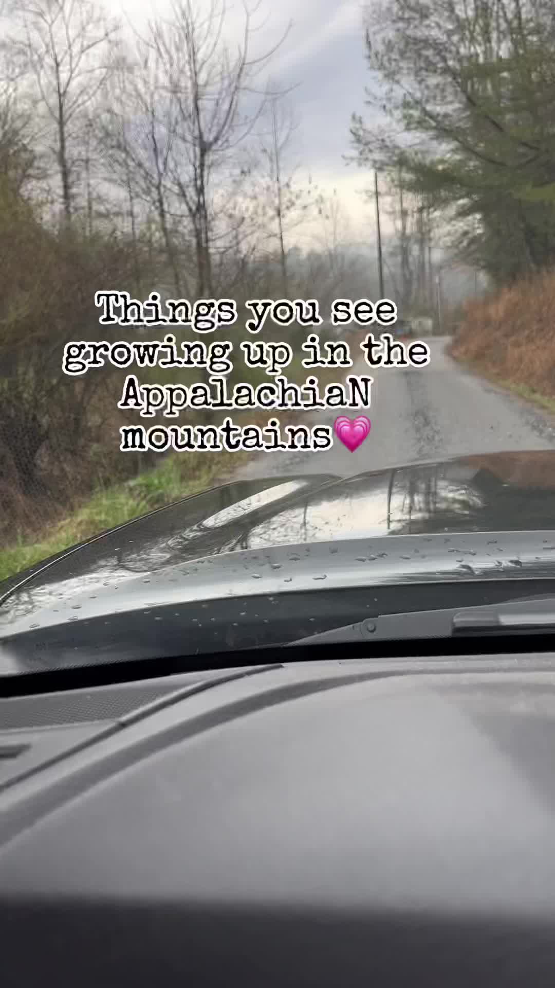 @appalachianwildling